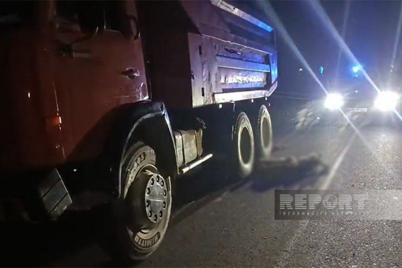 Salyanda avtomobil 20 başdan çox xırdabuynuzlu heyvanı vuraraq tələf etdi - VİDEO Salyanda avtomobil 20 başdan çox xırdabuynuzlu heyvanı vuraraq tələf etdi - VİDEO