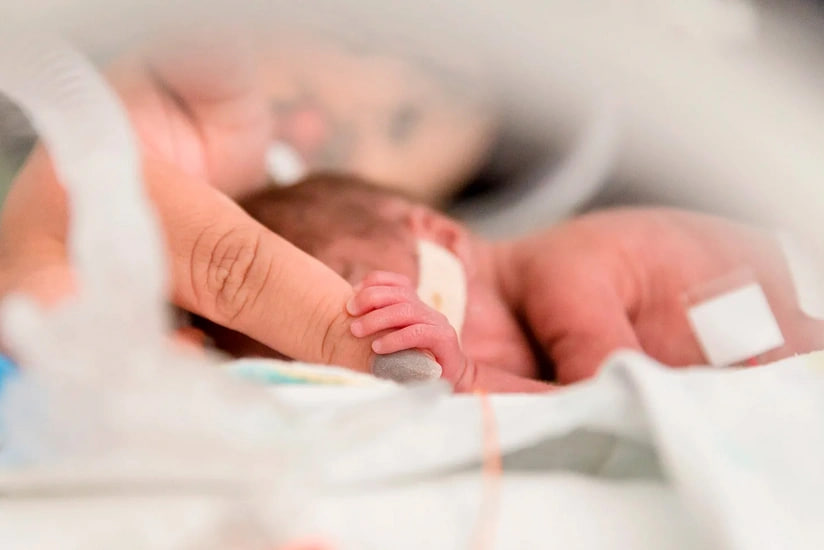 Bakıda xəstəxananın həyətində ölü döl TAPILDI