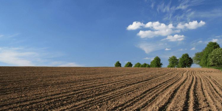 Havaların quraq keçməsi Şəkidə əkin sahələrinə necə təsir edir? - FOTO Havaların quraq keçməsi Şəkidə əkin sahələrinə necə təsir edir? - FOTO