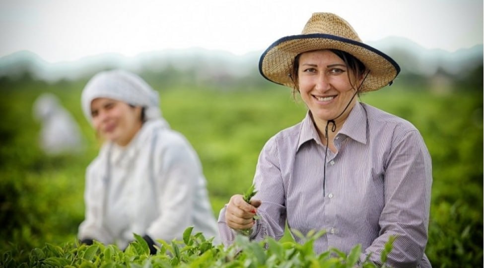 Fermerlərə ŞAD XƏBƏR – Bu metodla xəstəlik və zərərverici riskləri əvvəlcədən görmək mümkündür