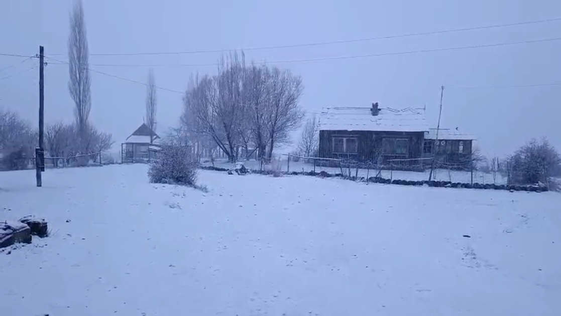 Naxçıvanda qarın hündürlüyü 3 santimetrə çatdı - FOTO Naxçıvanda qarın hündürlüyü 3 santimetrə çatdı - FOTO