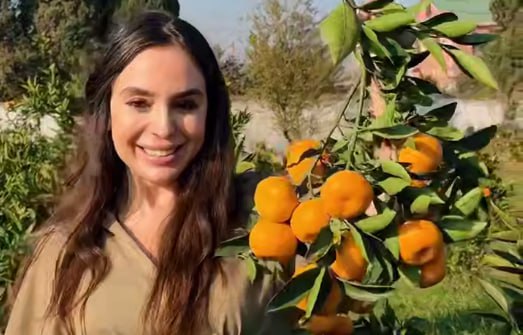 Leyla Əliyeva Lənkəran səfərindən PAYLAŞIM ETDİ – VİDEO Leyla Əliyeva Lənkəran səfərindən PAYLAŞIM ETDİ – VİDEO