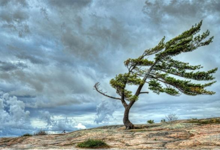 Bölgələrdə külək güclənib - FAKTİKİ HAVA Bölgələrdə külək güclənib - FAKTİKİ HAVA