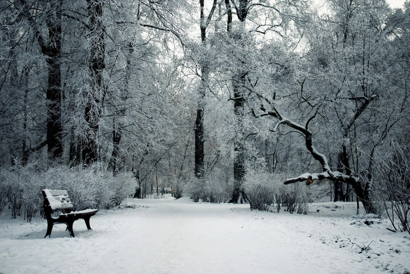 Sabah qar yağacaq – 13 dərəcə şaxta olacaq Sabah qar yağacaq – 13 dərəcə şaxta olacaq