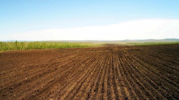 Bu rayonlarda torpaq sahəsi almaq istəyənlərin NƏZƏRİNƏ Bu rayonlarda torpaq sahəsi almaq istəyənlərin NƏZƏRİNƏ