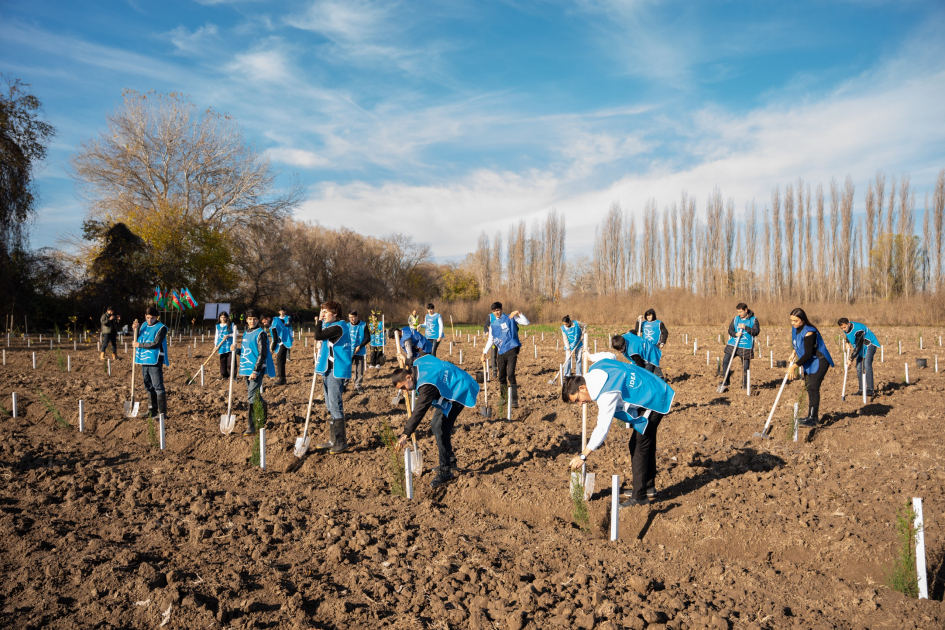 IDEA Sabirabad və Cəlilabadda kütləvi ağacəkmə aksiyaları təşkil etdi – FOTO IDEA Sabirabad və Cəlilabadda kütləvi ağacəkmə aksiyaları təşkil etdi – FOTO
