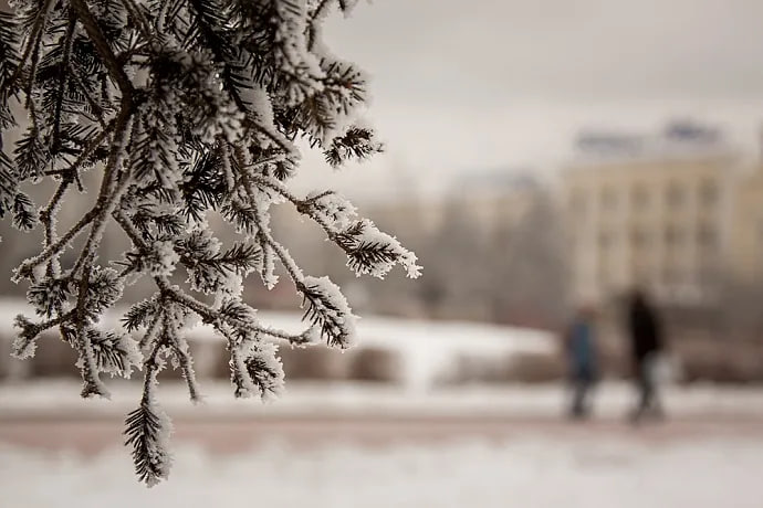 GÜNÜN HAVASI: Duman, şaxta...