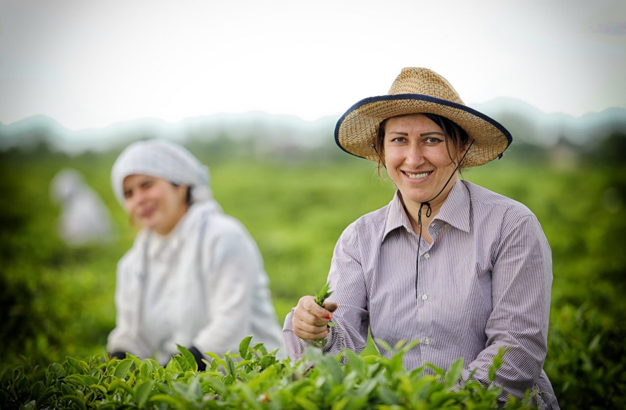 Əkin sahələrində rəqəmsal nəzarət - &ldquo;Made in Azerbaijan&rdquo; brendi əl-əl axtarılacaq