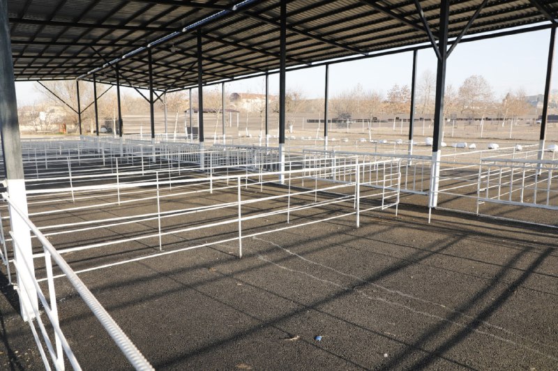 Daha bir &ldquo;mal bazarı&rdquo;nın fəaliyyəti bərpa edilir &ndash; VİDEO