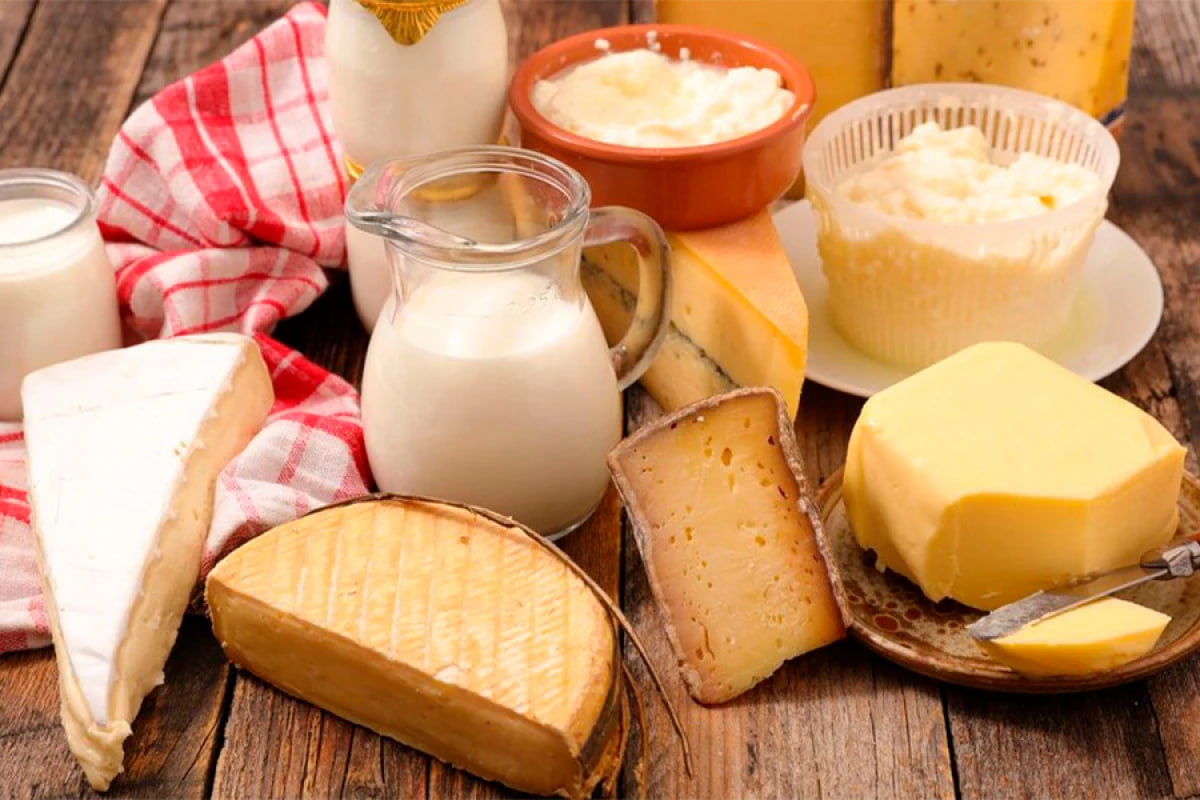 Yağlı pendir və qaymaq demensiya riskini AZALDIR