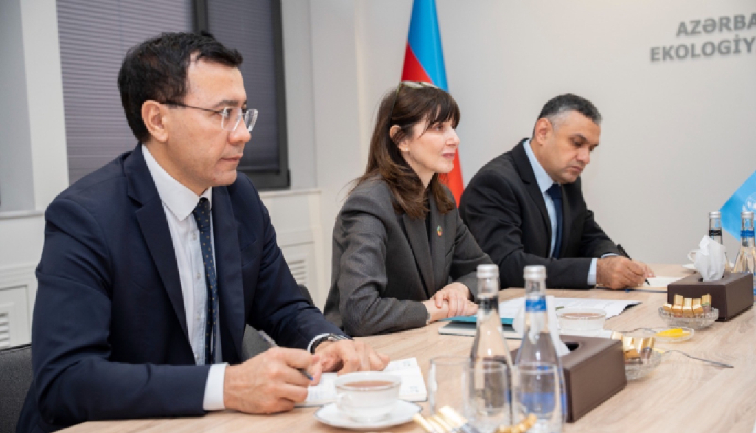 ETSN ilə BMT arasında gələcək fəaliyyət istiqamətlərinə dair müzakirələr aparıldı - FOTO