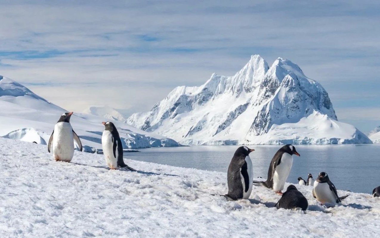 Antarktidada itən robot 9 ay sonra qorxulu məlumatlarla geri döndü Antarktidada itən robot 9 ay sonra qorxulu məlumatlarla geri döndü