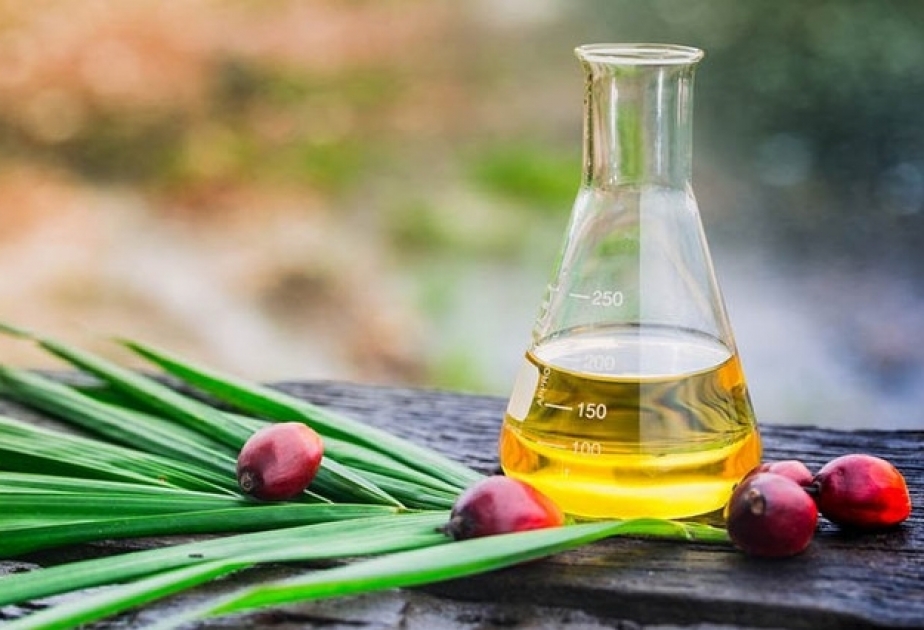 Azərbaycana nə qədər palma yağı gətirilib?