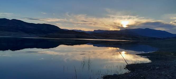 Tovuzda göldən qadın meyiti TAPILDI Tovuzda göldən qadın meyiti TAPILDI