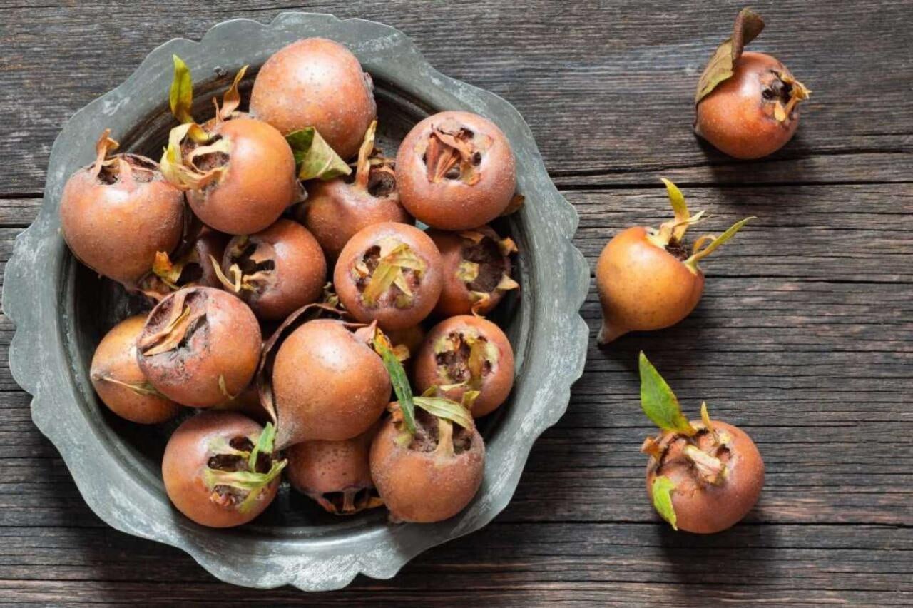 Əzgilin bu faydaları varmış...