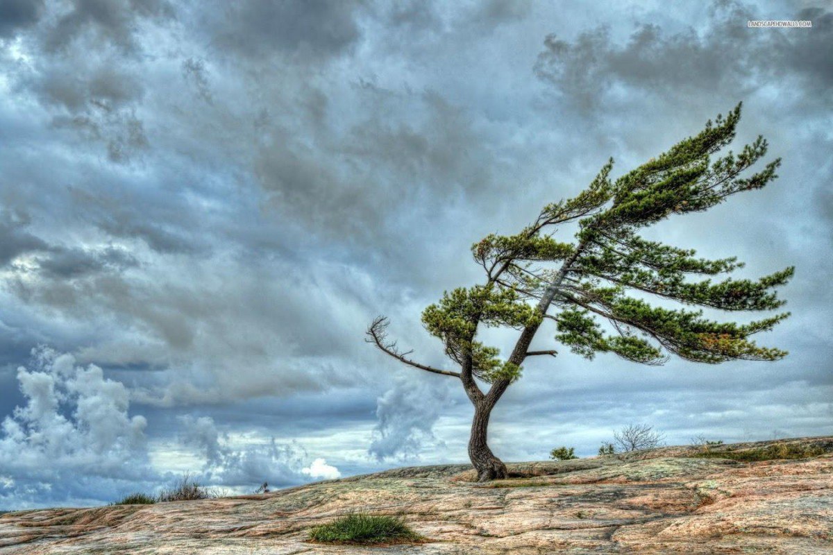 Bakıda güclü külək əsir - FAKTİKİ HAVA
