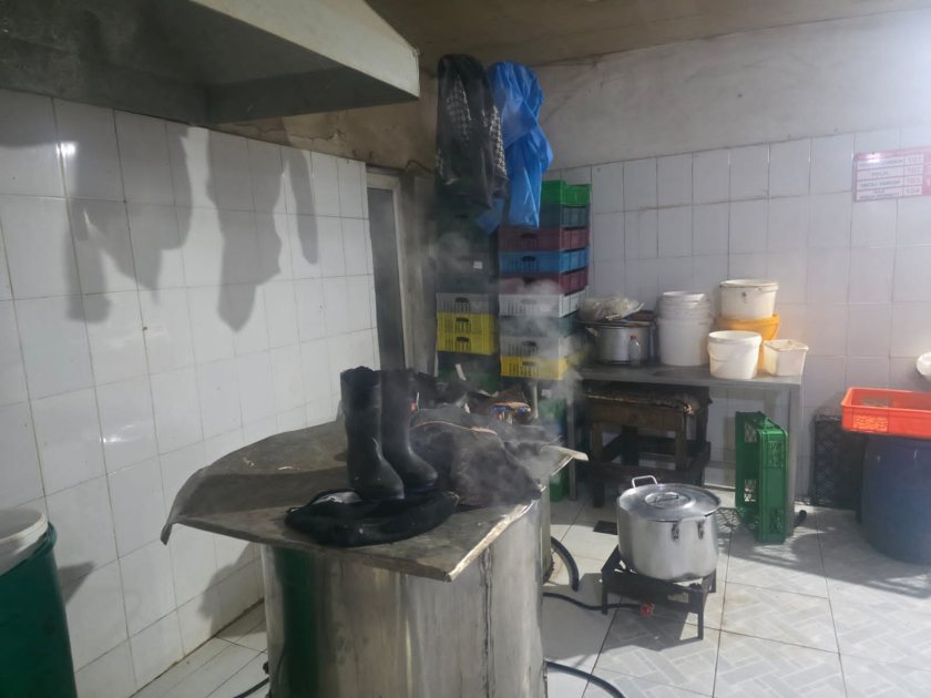 Masazırda qanunsuz fəaliyyət göstərən quş kəsimi sexi aşkarlandı - FOTO