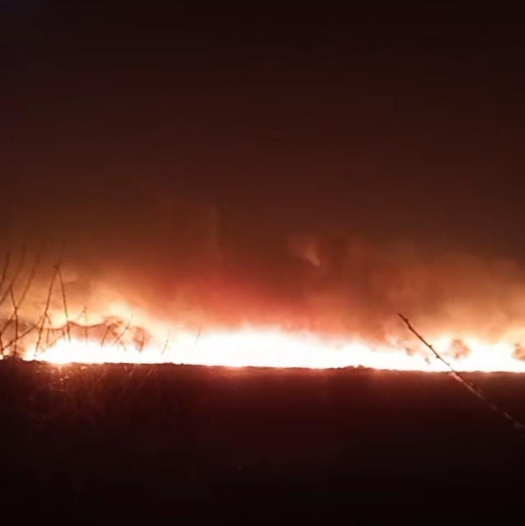 Cəbrayıl və Füzulidə yanğın başladı - Kəndlərə yayılır - FOTO