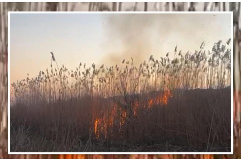 Cəbrayılda yanğın törədən şəxs SAXLANILDI Cəbrayılda yanğın törədən şəxs SAXLANILDI