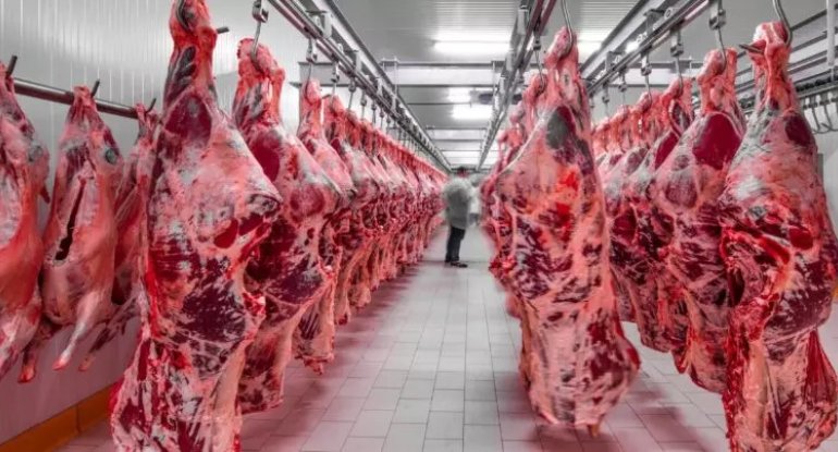 Azərbaycanda bu ölkələrdən gətirilən ətlər satılır - SİYAHI