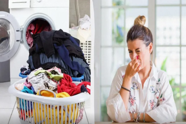 Gecə maşında qalan paltarı yenidən yumaq lazımdırmı?