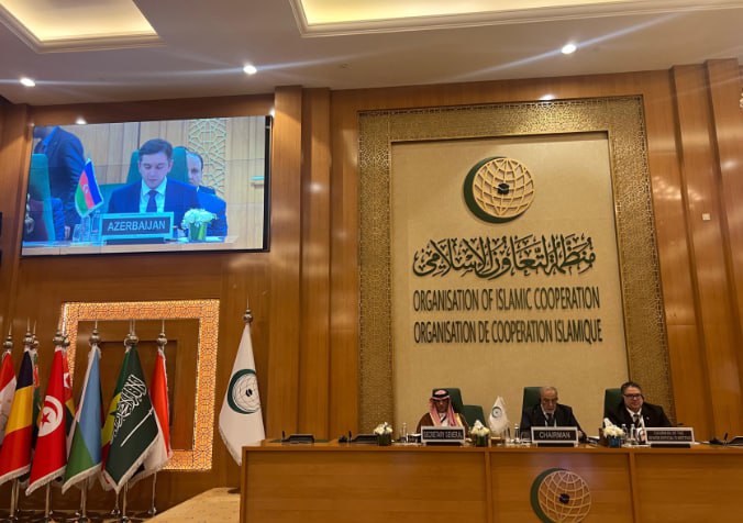 Somali ilə bağlı fövqəladə iclas: Azərbaycanı bu diplomat təmsil etdi - FOTO