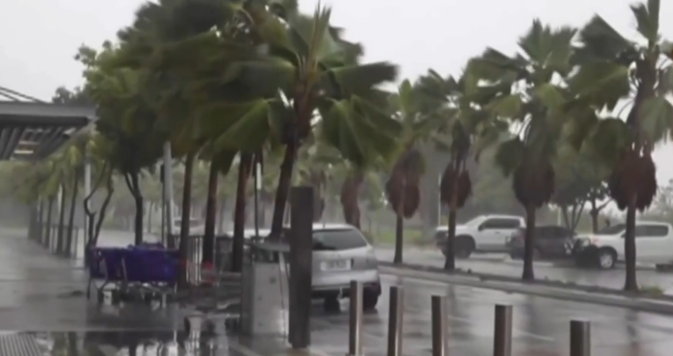 Avstraliyada qasırğa:22 mindən çox insan işıqsız qaldı - VİDEO