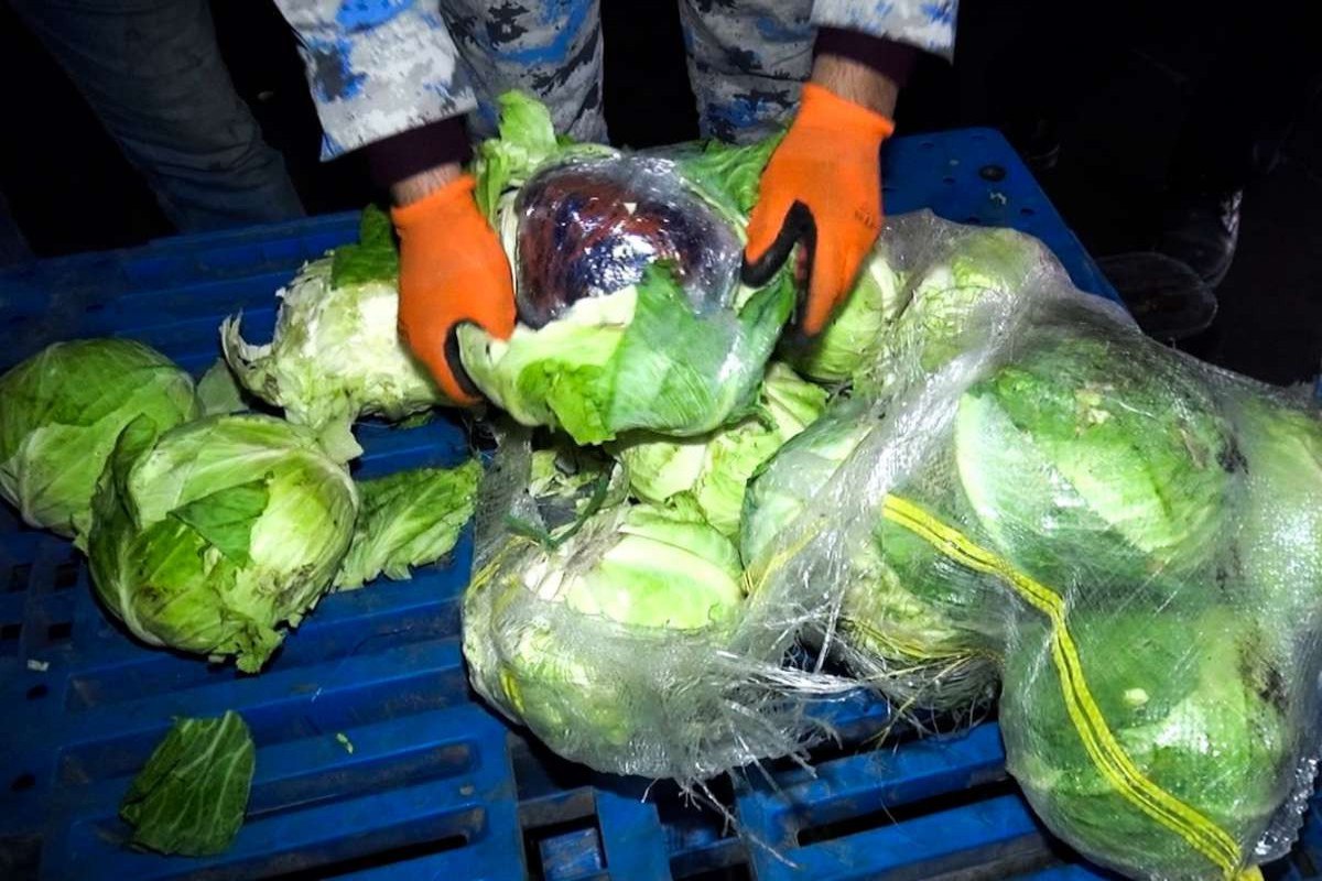 Gömrükdə ƏMƏLİYYAT: &ldquo;Kələm&rdquo; yükündən narkotik aşkarlandı - FOTO