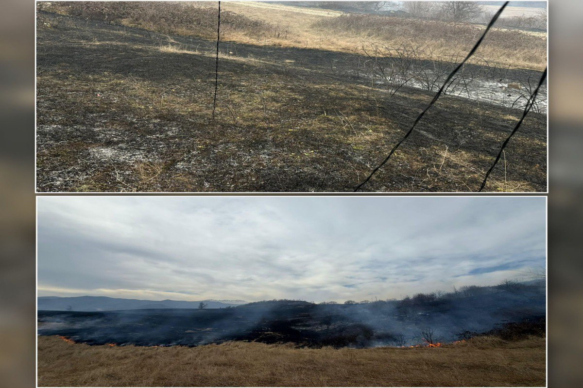 Xocalıda yanğına səbəb olan şəxs SAXLANILDI Xocalıda yanğına səbəb olan şəxs SAXLANILDI