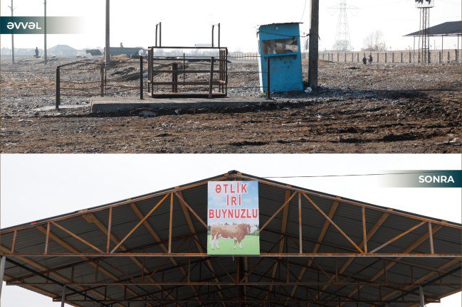 İmişlidə heyvan bazarı açıldı &ndash; FOTO