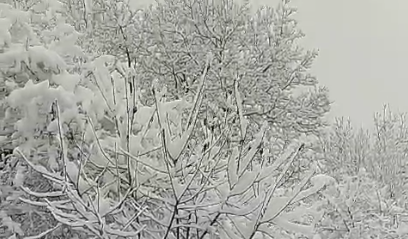 Qaxda qarın hündürlüyü 45 sm-ə çatdı &ndash; VİDEO