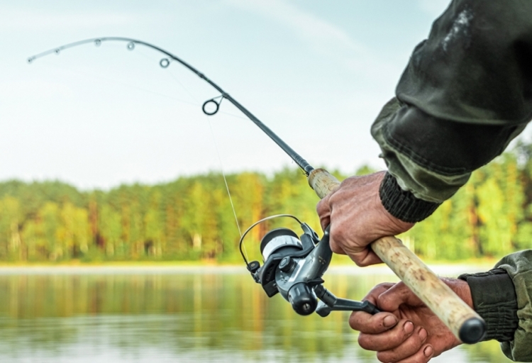 Balıq ovu üçün kvota təsdiqləndi &ndash; QİYMƏTLƏR