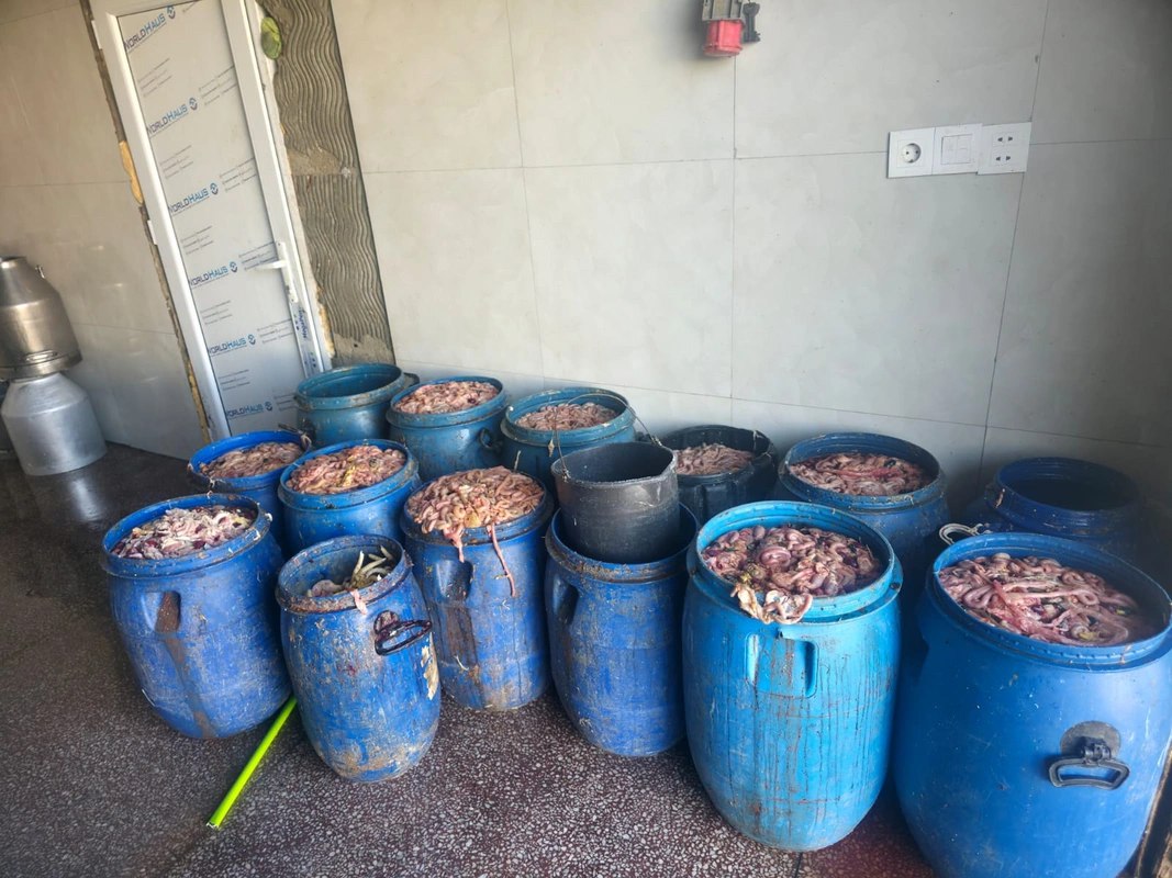 Novxanıda fəaliyyət göstərən kəsim məntəqəsində nöqsanlar AŞKARLANDI - FOTO