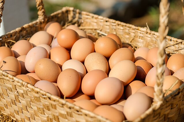 Dünyada ən çox yumurta istehlak edən ölkələr AÇIQLANDI