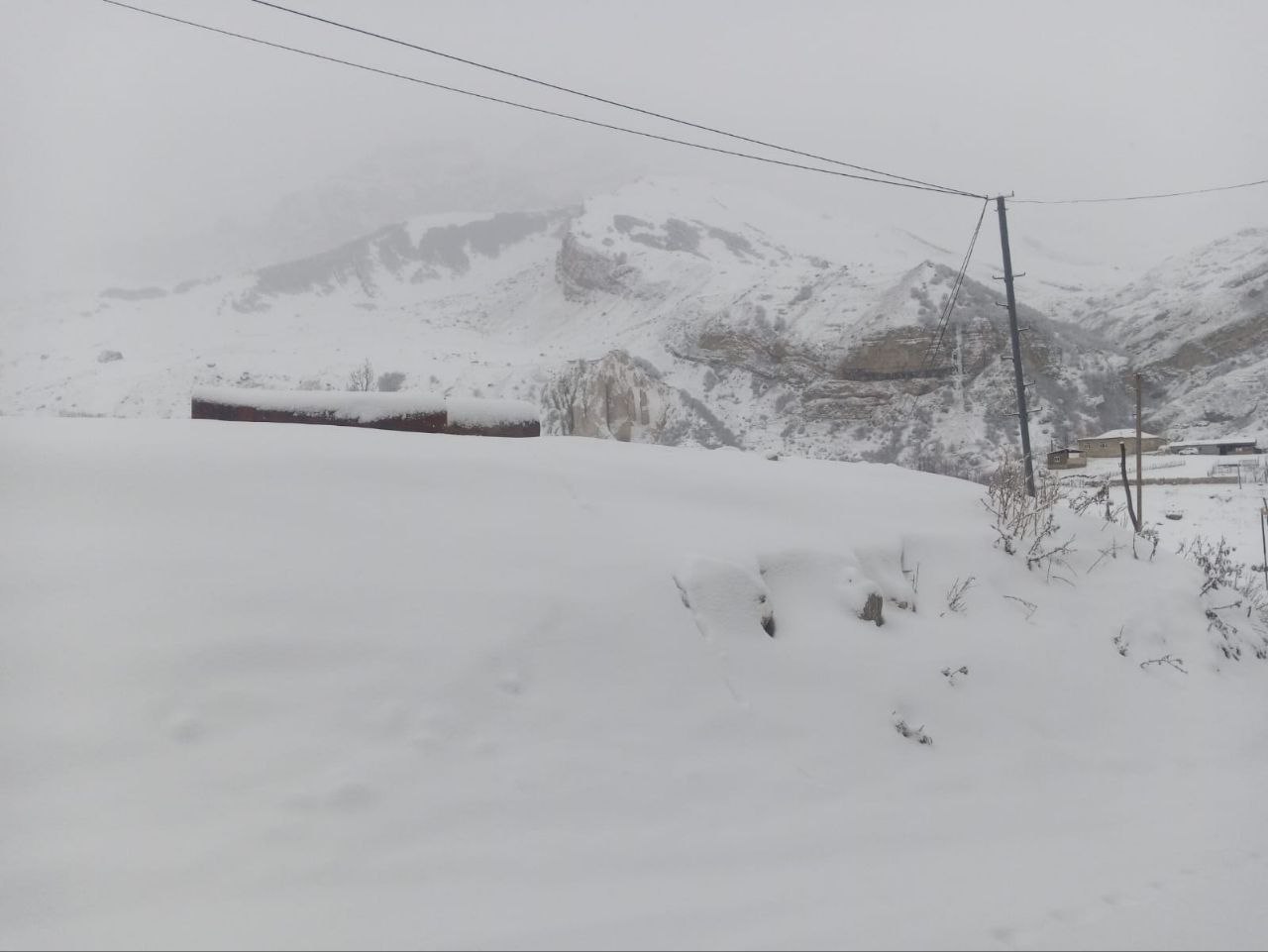 Ölkənin şimalına bu gecə qar yağıb - FOTO