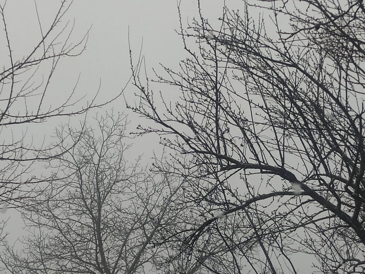 Bu bölgəmizə də qar yağır - FOTO/VİDEO