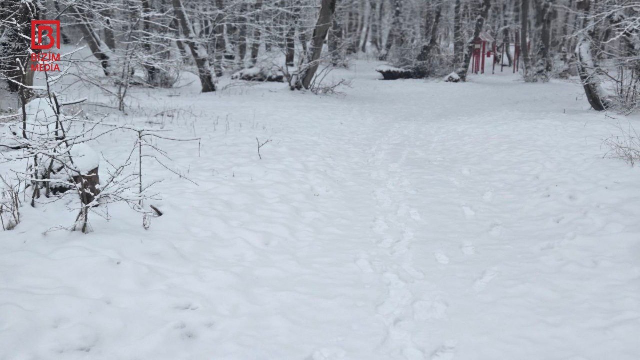Şimal bölgəsinə yenə qar yağdı &ndash; FOTO/VİDEO