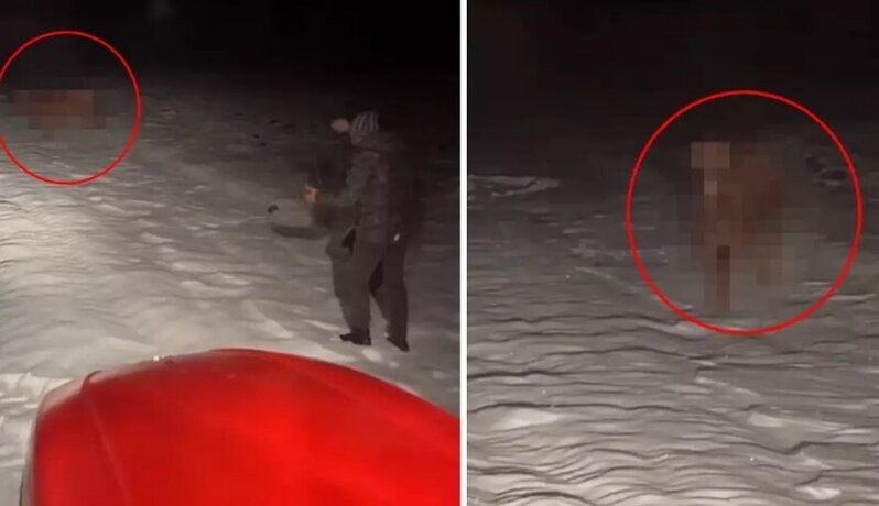 Bütün kəndi ayağa qaldıran hadisə: gecə yarısı traktorlarla axtarışa çıxdılar - VİDEO