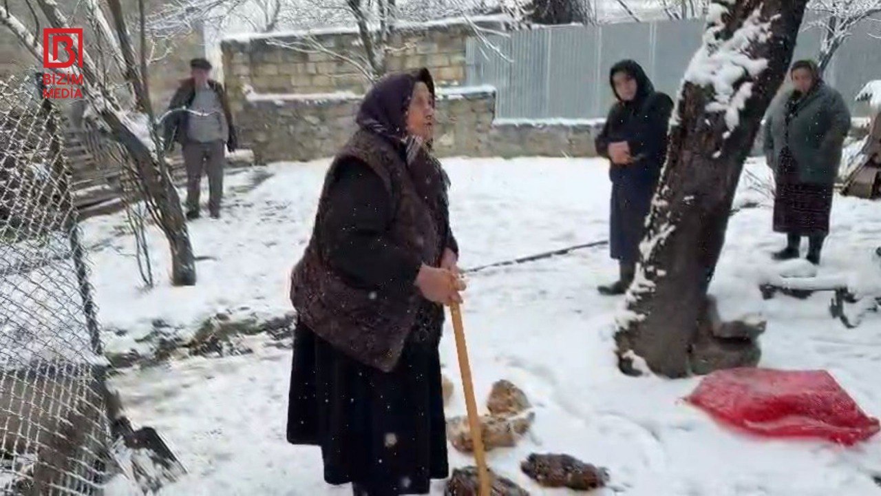Şəkidə onlarla ailə TƏHLÜKƏ qarşısında - Ev quşlarının qənimi tapılacaqmı? &ndash; FOTO/VİDEO