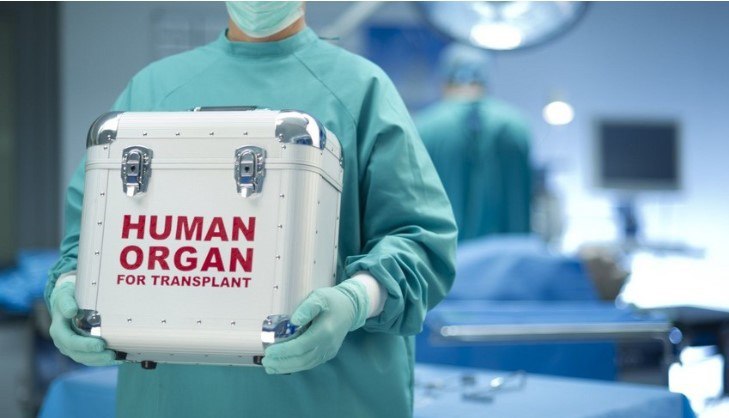 Azərbaycanda robotik böyrək transplantasiyası HƏYATA KEÇİRİLƏCƏK Azərbaycanda robotik böyrək transplantasiyası HƏYATA KEÇİRİLƏCƏK