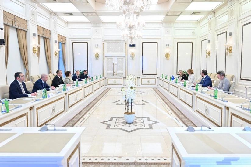 Milli Məclislə NATO PA arasında gələcək əməkdaşlıq perspektivləri müzakirə edildi - FOTO