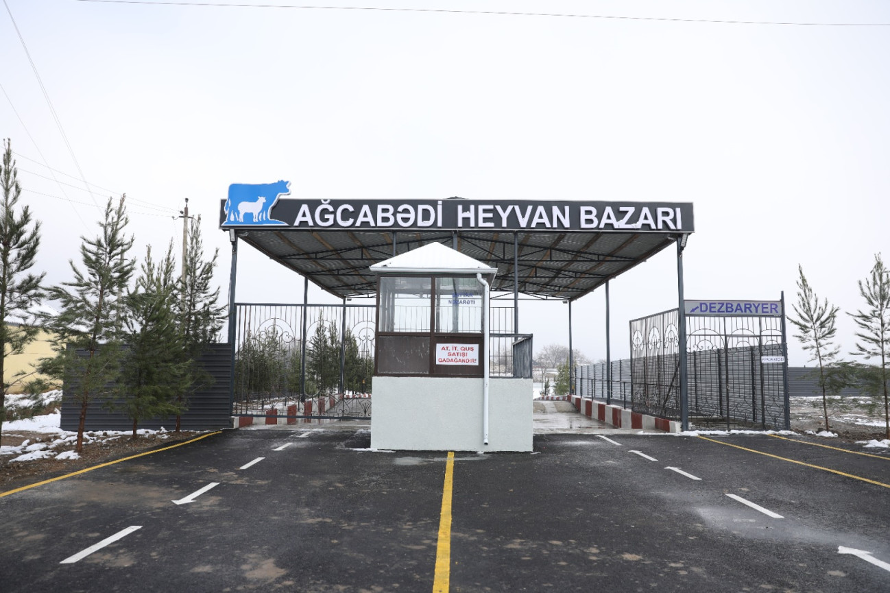 Ağcabədi heyvan bazarı da açıldı – FOTO/VİDEO Ağcabədi heyvan bazarı da açıldı – FOTO/VİDEO