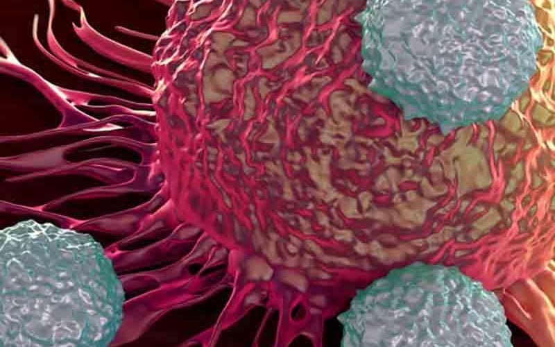 Xərçəng riskini azaldan SADƏ VƏRDİŞLƏR