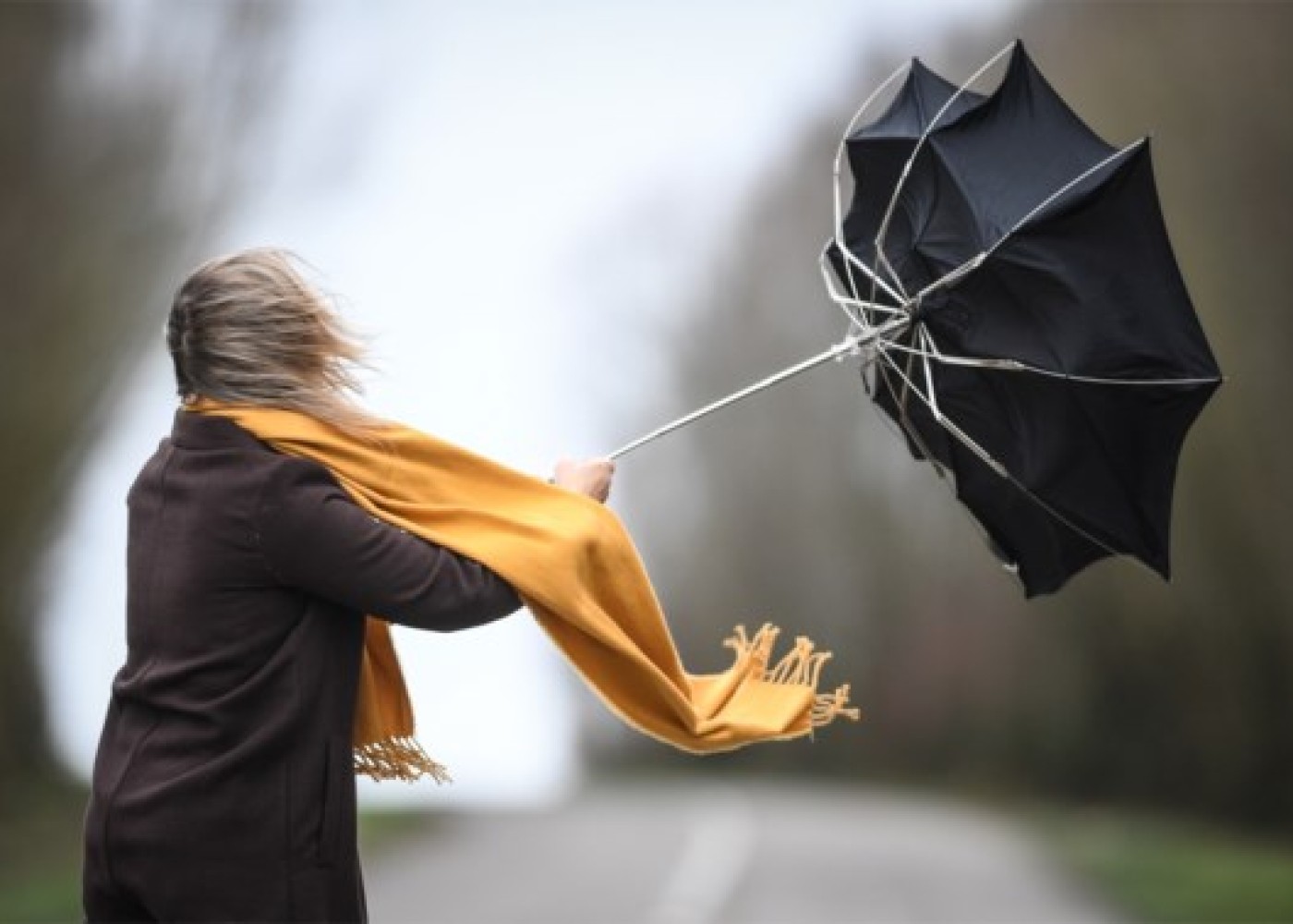 Küləkli hava ilə bağlı sarı XƏBƏRDARLIQ Küləkli hava ilə bağlı sarı XƏBƏRDARLIQ