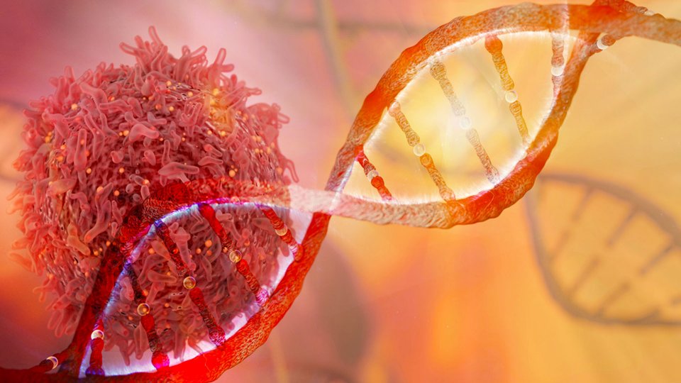 Xərçəngə qarşı ŞOK İNQİLAB