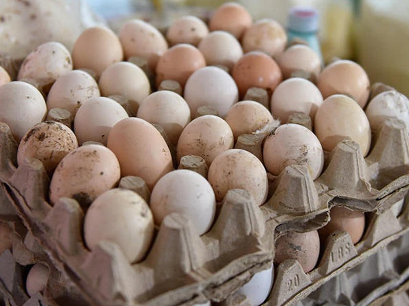 Marketlərin HİYLƏSİ - Kənd yumurtası adı altında TƏHLÜKƏ satılır