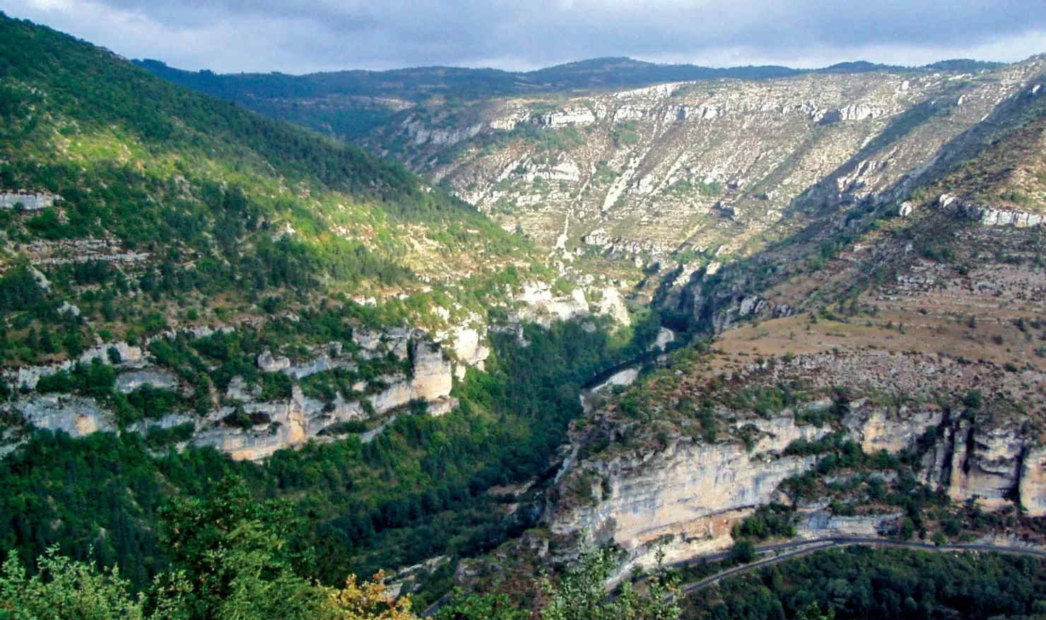 Şəmkirdə dərədən meyiti tapılan şəxsin qətlə yetirildiyi MƏLUM OLDU Şəmkirdə dərədən meyiti tapılan şəxsin qətlə yetirildiyi MƏLUM OLDU