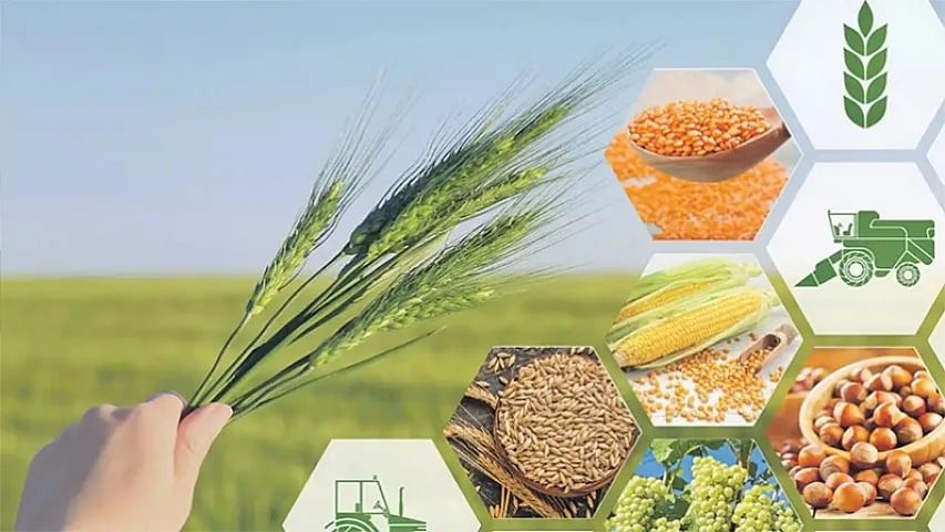 Ötən il kənd təsərrüfatı məhsullarının ixracı dəyər ifadəsində 18,5 faiz ARTDI Ötən il kənd təsərrüfatı məhsullarının ixracı dəyər ifadəsində 18,5 faiz ARTDI