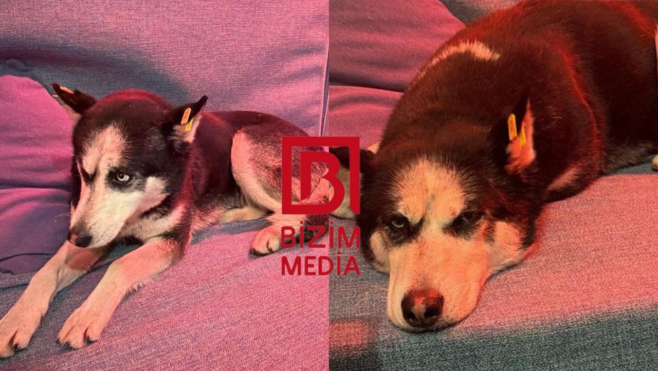 Bilgəhdə tapılan xaski sahibini AXTARIR - FOTO/VİDEO Bilgəhdə tapılan xaski sahibini AXTARIR - FOTO/VİDEO