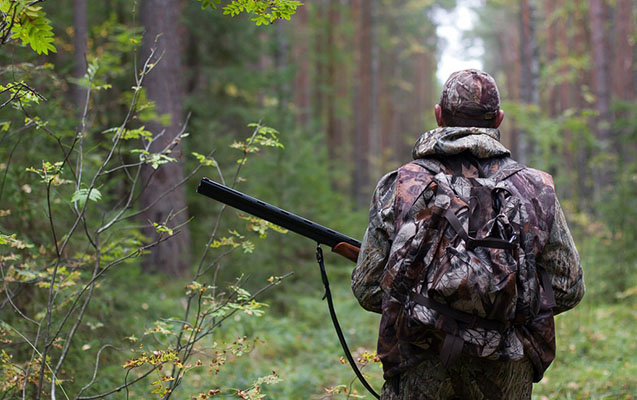 Azərbaycanda ov mövsümünün müddəti UZADILDI &ndash; BU TARİXƏDƏK